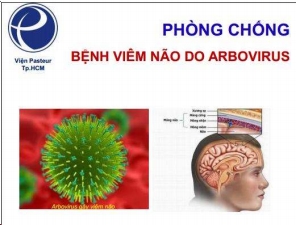 Mẫu tờ rơi truyền thông phòng chống bệnh viêm não