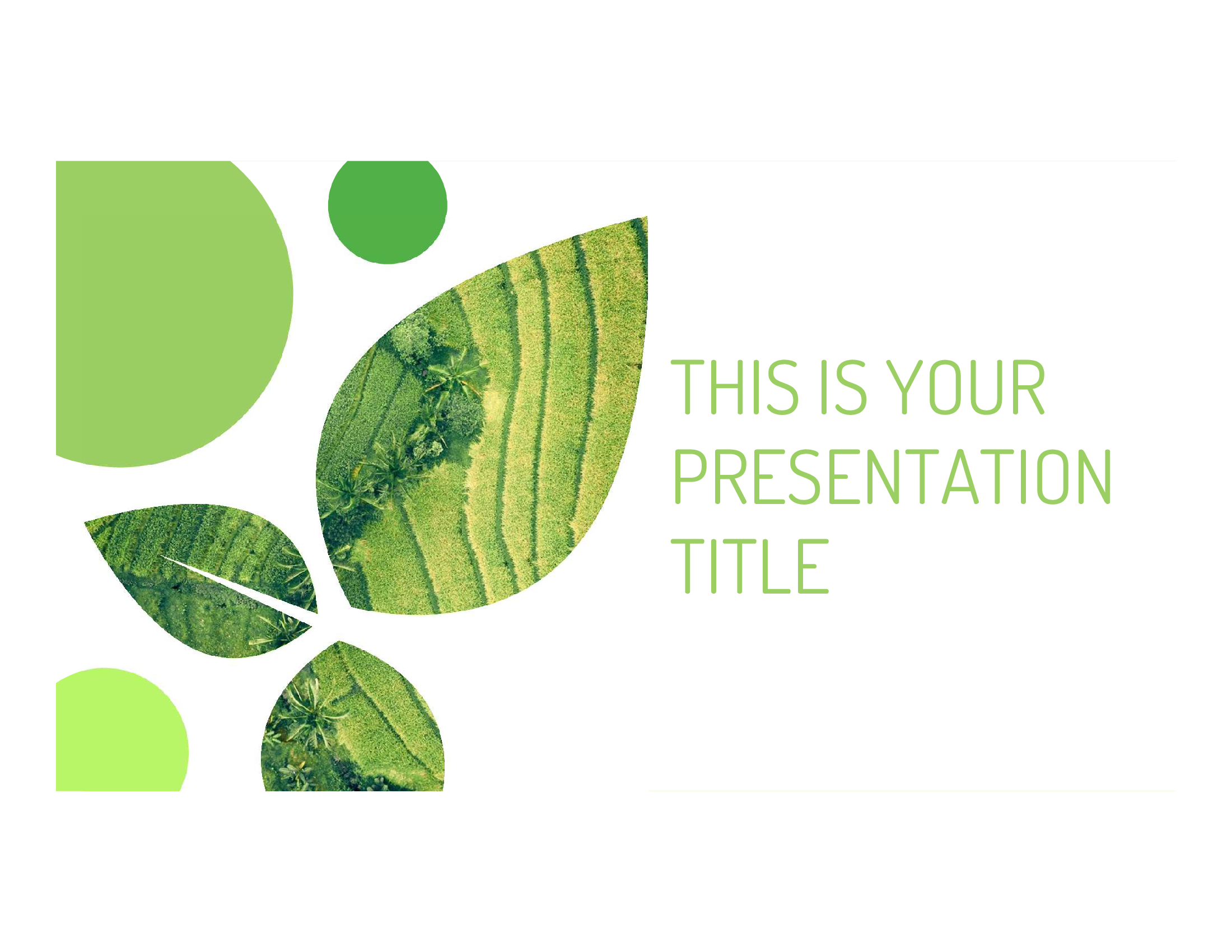 Mẫu Slide Powerpoint chuyên nghiệp lấy cảm hứng từ thiên nhiên