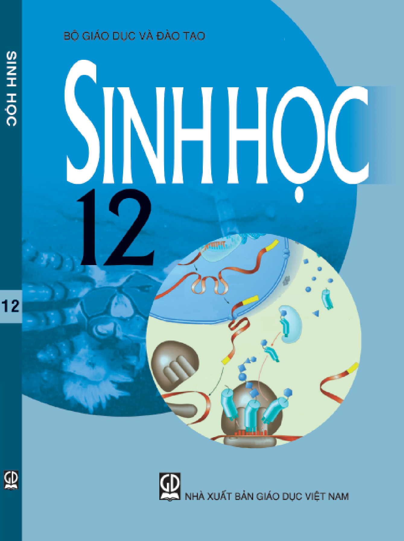 Sinh học 12