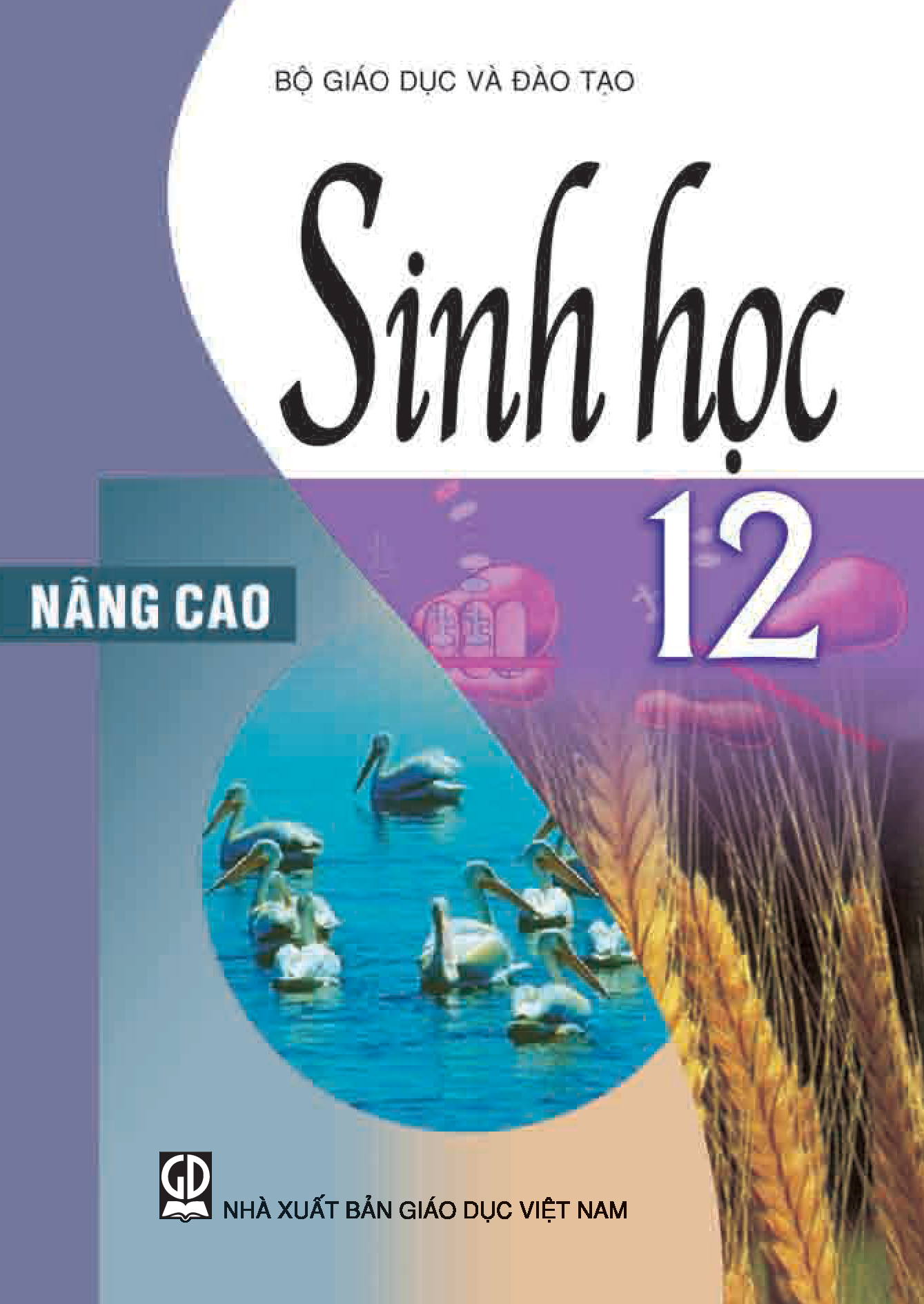 Sinh học 12 - Nâng cao