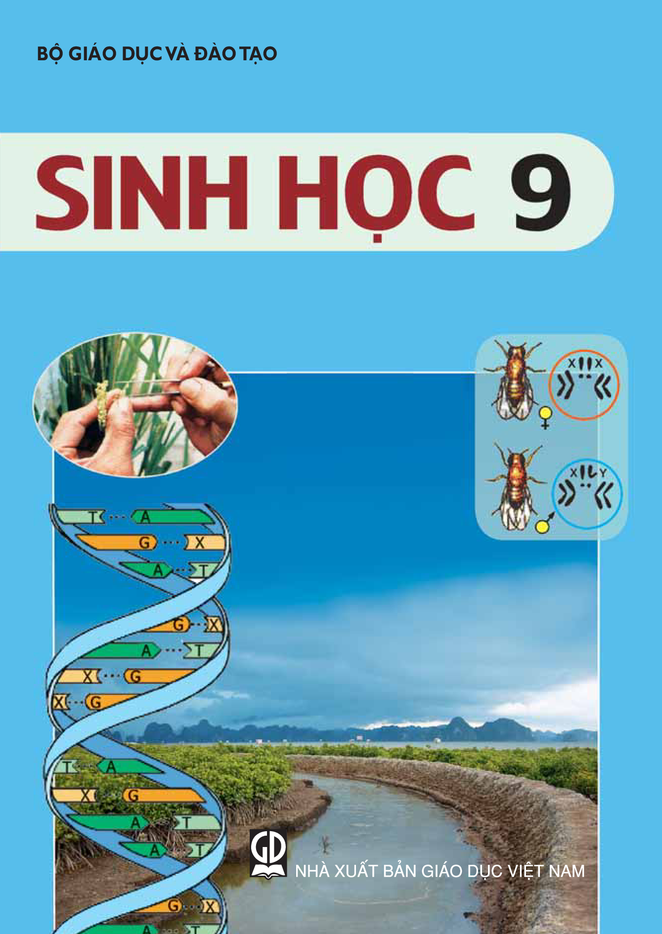 Sinh học 9